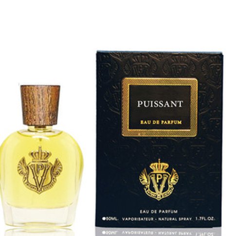 PARFUMS VINTAGE PUISSANT (U) EDP 100ML